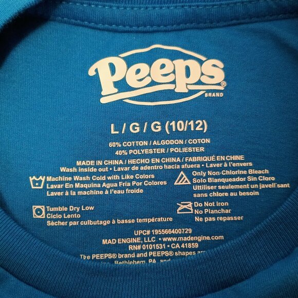 EUC: Boys' Peeps Large Blue Chillin' with My Peeps Graphic T-Shirt - Picture 3 of 3